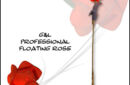 Httpswww magicshop chmediacatalogproductsisimple profloatingrose 1 jpg