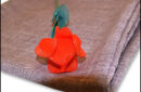 Httpswww magicshop chmediacatalogproductsisimple profloatingrose 2 jpg
