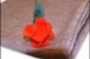 Httpswww magicshop chmediacatalogproductsisimple profloatingrose 3 jpg