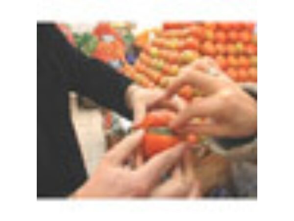 Fruitfull by Juan Pablo - DVD