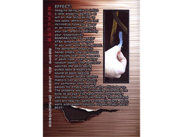 Bandarizumu by Sean Scott - DVD