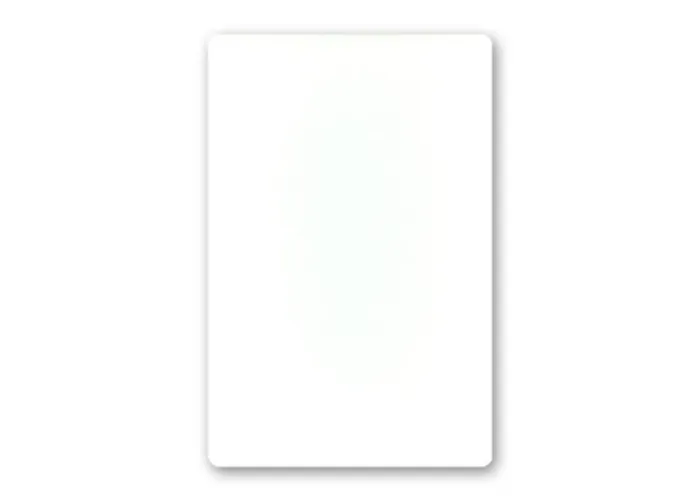 Jumbo Bicycle Card (BLANK) - Trick
