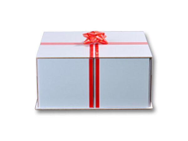 Party Surprise Box (Gimmicks and Online Instruction) by Mikame - Trick