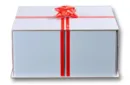 Party Surprise Box (Gimmicks and Online Instruction) by Mikame - Trick – Image 1