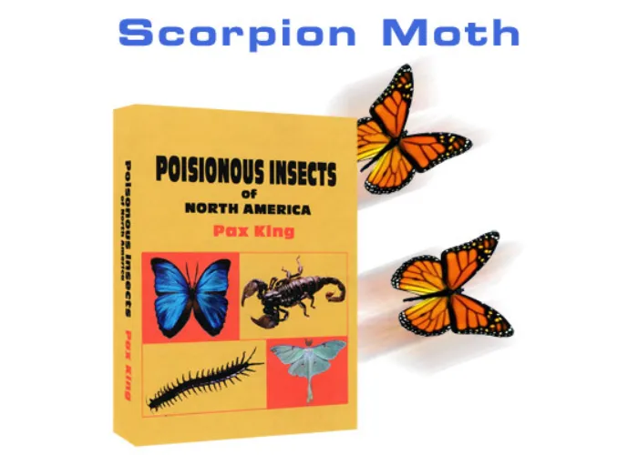 Scorpion Moth by Mac King and Peter Studebaker - Trick