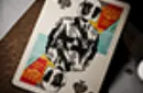 Obey Gold Edition Playing Cards by theory11 – Bild 5