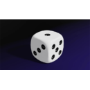 Magnetic Die (White) by Iarvel Magic