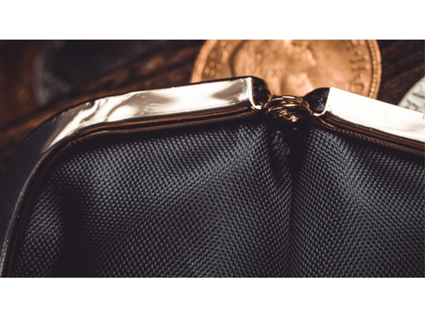 Professional Coin Purse by Amor Magic