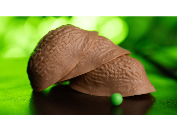 THE GAMBLER / THREE SHELL GAME (Gimmicks and Instructions) by Apprentice Magic