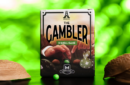 Httpswww magicshop chmediacatalogproductsisimple apptgambler 1 png