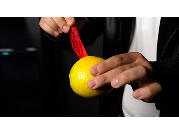 VANISHING HANDKERCHIEF  (Gimmicks and Instructions) by Apprentice Magic
