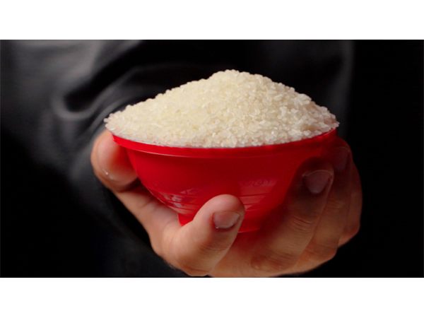 RICE BOWLS (Gimmicks and Instructions) by Apprentice Magic