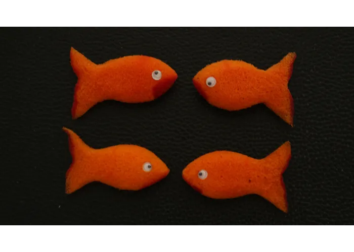 Sponge Emoji GOLDFISH (4PK.) by Andy Amyx