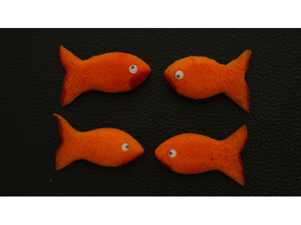 Sponge Emoji GOLDFISH (4PK.) by Andy Amyx