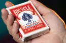 Bicycle Blur Red (Mandolin Back) by Mathieu Bich and Garrett Thomas – Bild 6