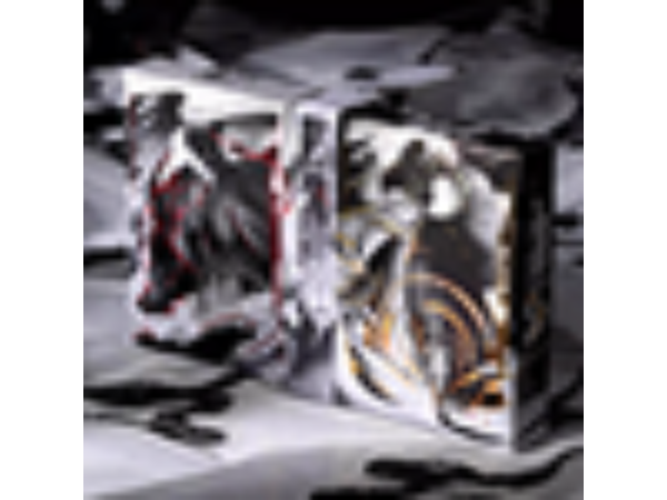 Martial Arts (Sky) Playing Cards by King Star