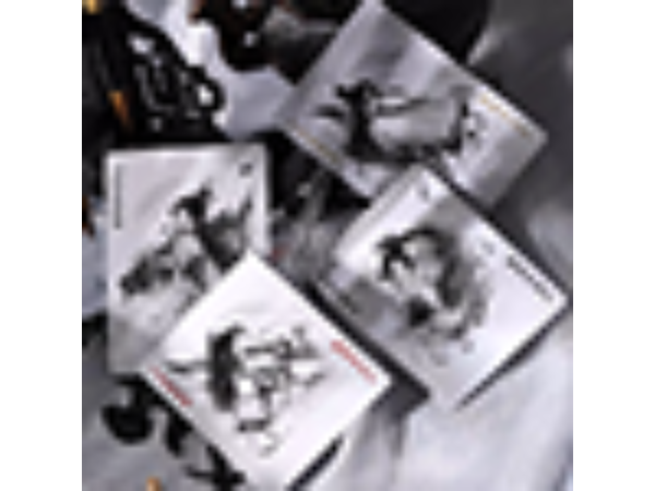 Martial Arts (Sky) Playing Cards by King Star