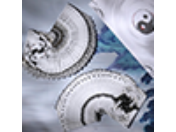 Martial Arts (Earth) Playing Cards by King Star