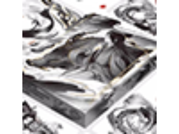 Martial Arts (Earth) Playing Cards by King Star