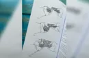 Synthesis and Secrets: A Magic Book in Four Acts by Michael Kras - Book – Bild 3