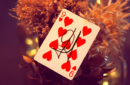 Httpswww magicshop chmediacatalogproductsisimple mypowerdeck red 2 png
