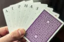 DMC Alpha V3 (Purple) Portcullis – Bild 2