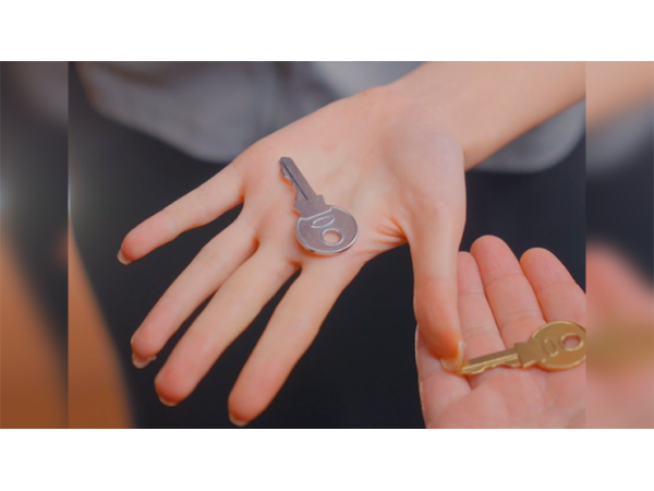 Hopping Keys by Bond Lee, Wenzi, & MS Magic