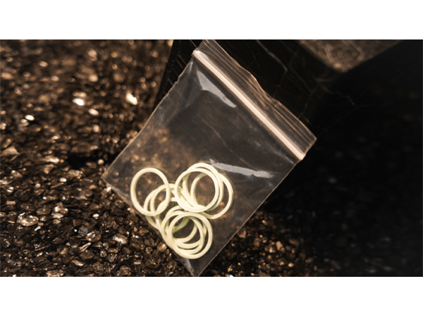 Coin Shackles by TCC