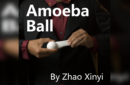 Httpswww magicshop chmediacatalogproductsisimple amoeba 1 png