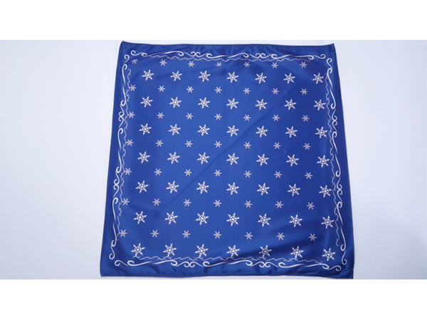 Snow Bandana by Lee Alex