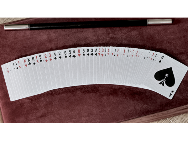 NYX Velvet by Luca Volpe