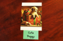 Httpswww magicshop chmediacatalogproductsisimple predicto holiday 4 png