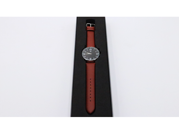 SB Watch 2 (2024) Noir Silver One