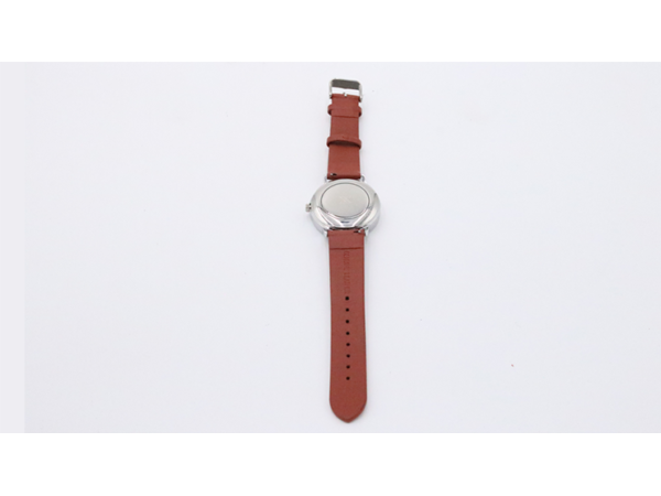 SB Watch 2 (2024) Noir Silver One
