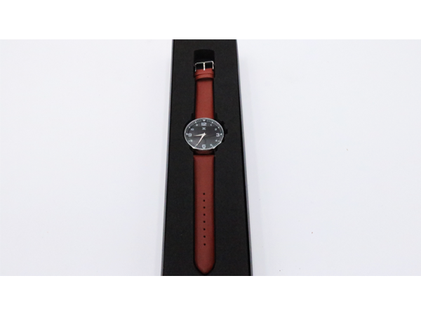 SB Watch 2 (2024) Noir Silver Three