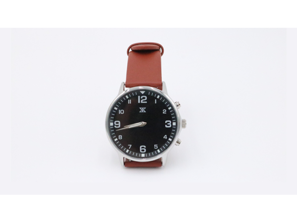 SB Watch 2 (2024) Noir Silver Three