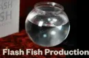 Flash Fish Production by LT Magic – Bild 1