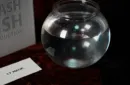 Flash Fish Production by LT Magic – Bild 2