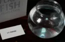Flash Fish Production by LT Magic – Bild 3