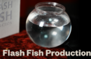 Httpswww magicshop chmediacatalogproductsisimple flashfish 1 png