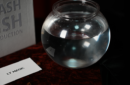 Httpswww magicshop chmediacatalogproductsisimple flashfish 2 png