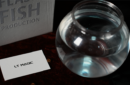 Httpswww magicshop chmediacatalogproductsisimple flashfish 4 png