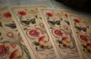 Dead Rebel Magic Explorers Club Cryptozoological Playing Card Set – Image 5