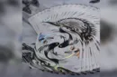 Martial Arts Collector's Set Playing Cards by King Star – Image 3