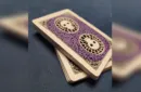 Boney Island Playing Cards by Magic Apple – Bild 4