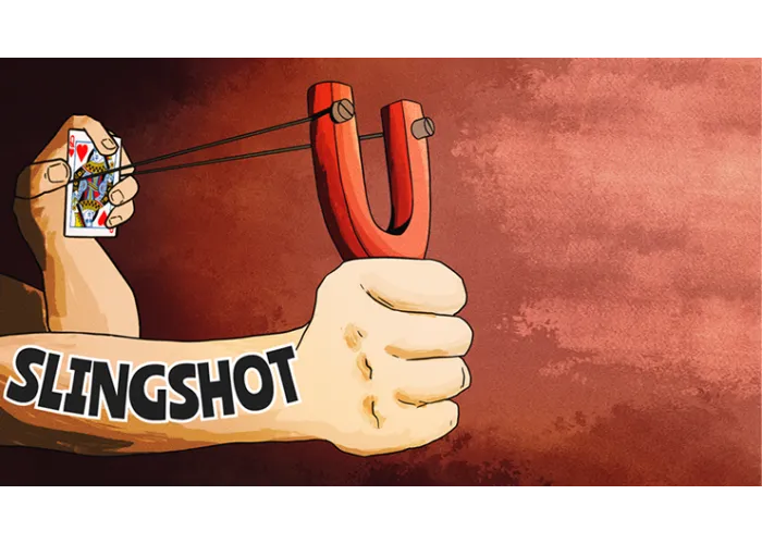 The Slingshot by Joel Anthony