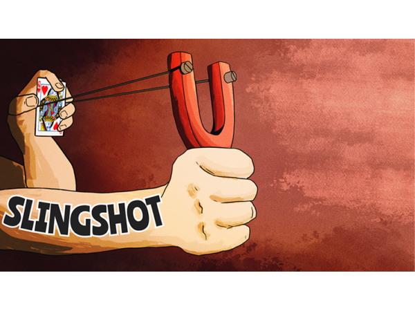 The Slingshot by Joel Anthony