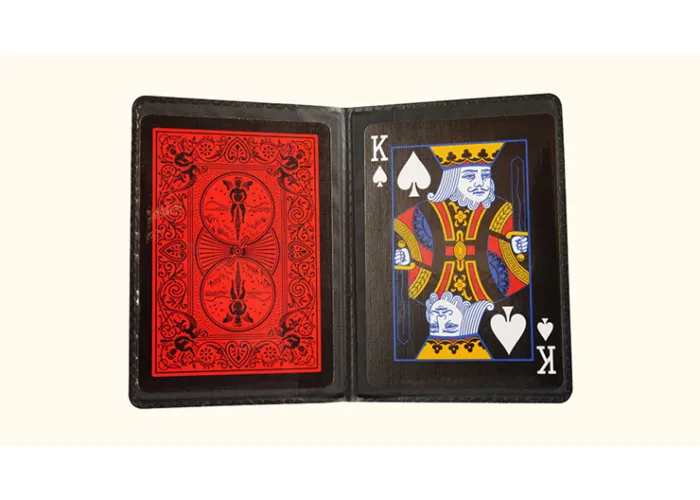 Card Holder Deluxe (2 transparent pockets)