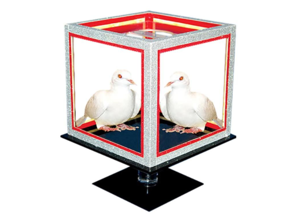 Special Disappearing Dice by Tora Magic