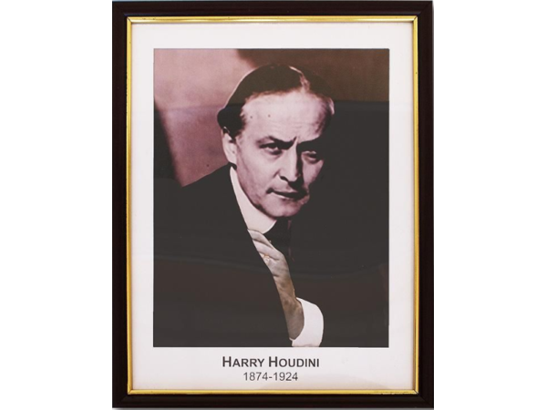 Houdini Prediction Frame